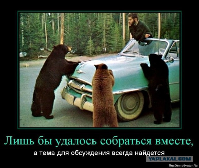 Добряки, плюсующие всех подряд