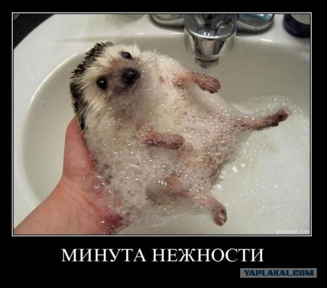 Подборка смешных картинок :)