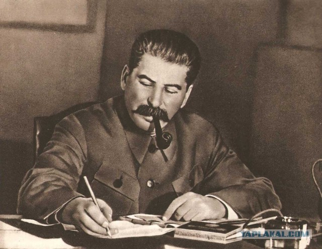 Отец заснял свою дочь, когда она делала селфи