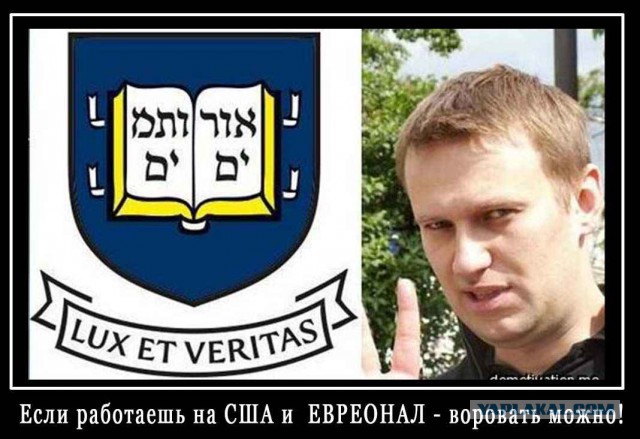 Чеченское лекарство для Киева