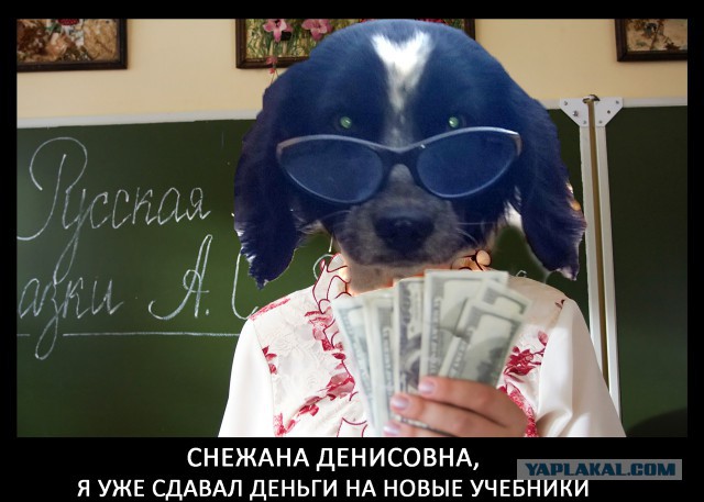 Забавные картинки.