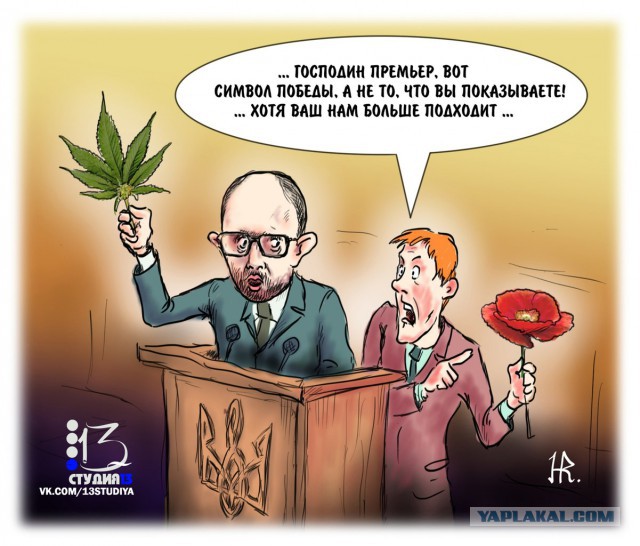 Забавные картинки из Сети