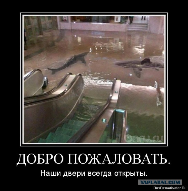 Здравствуйте, я тут человек новый