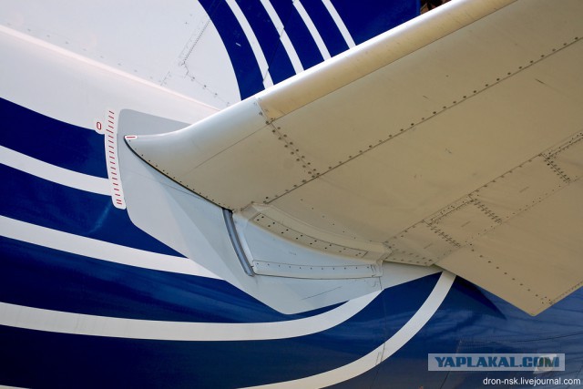 В Египте разбился российский пассажирский самолет, Airbus-321 "Когалымавиа"