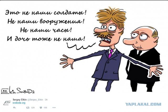 Дорогой Владимир Владимирович!