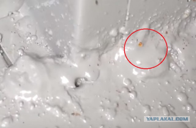 УАЗ жестянка!