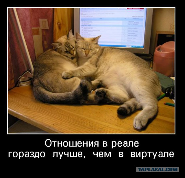 Если устраивать друг другу сцены - то только из эротических фильмов!