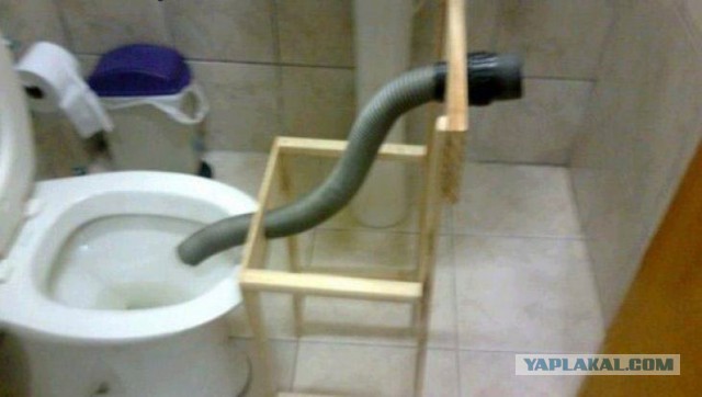 Клопики заели…