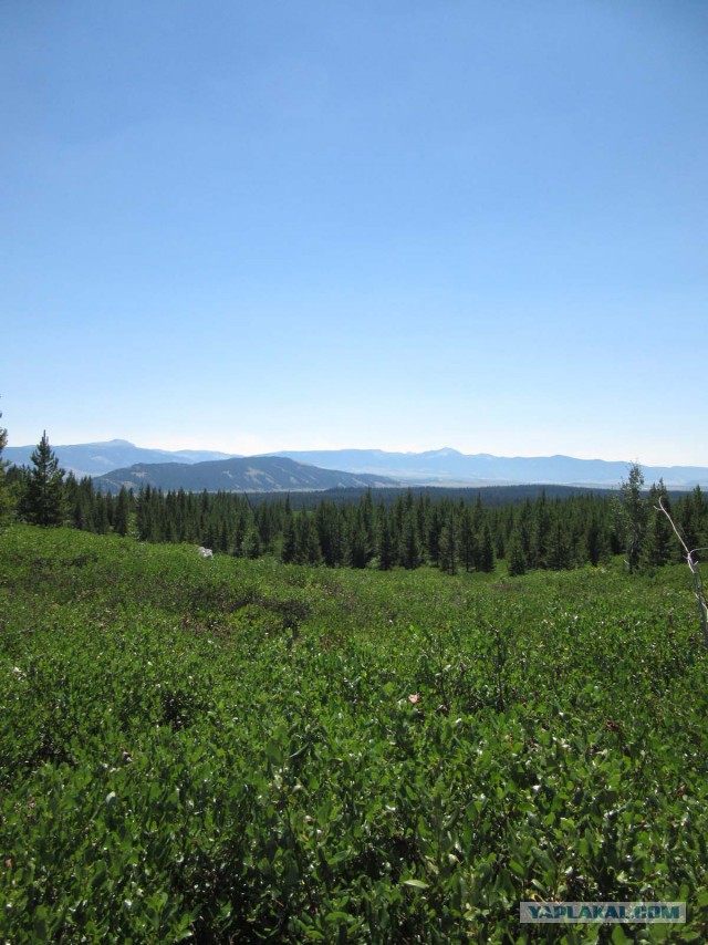 Деревенская Америка - 2