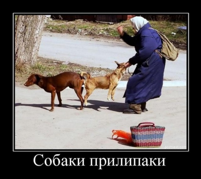 На тюменском пляже молодая пара занялась экстремальным сексом