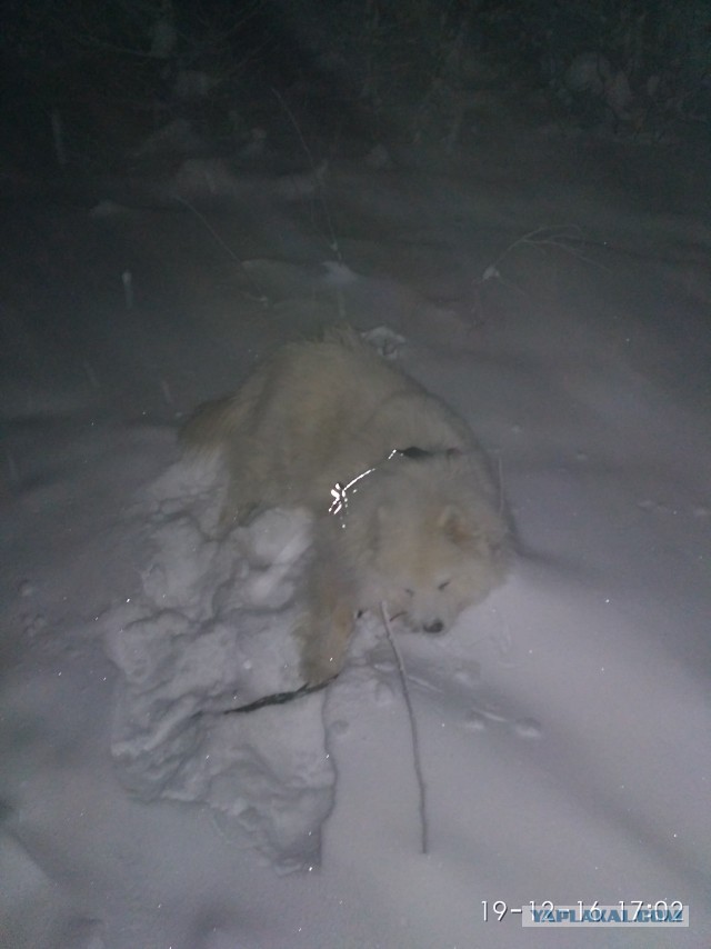 Горячий привет из Нового Уренгоя