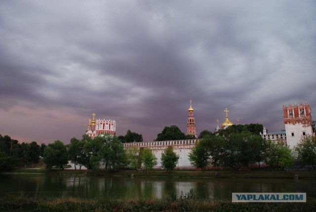 Моменты, запечатлённые на фото и просто позитив 5