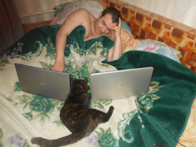 Котовторник 28.02.2017