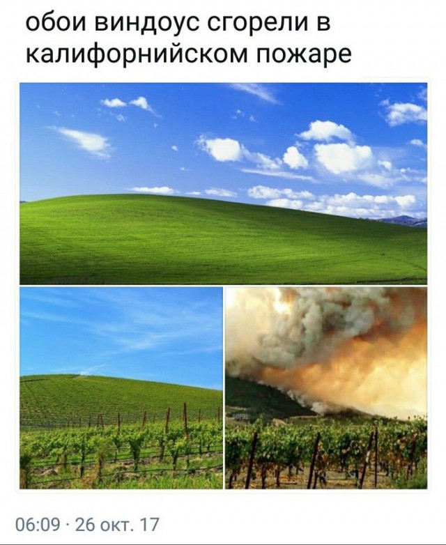 Подборка интересных и веселых картинок