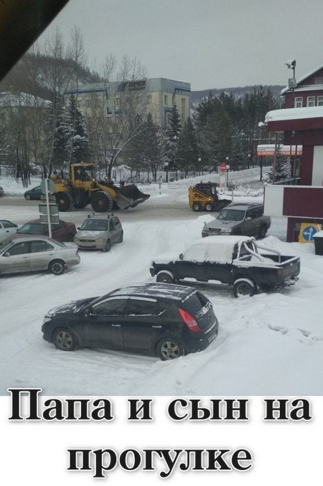 Тупик эволюции