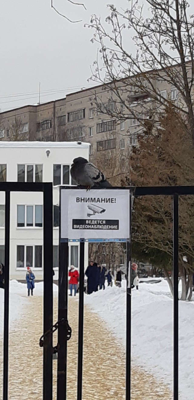 Подборка интересных и веселых картинок