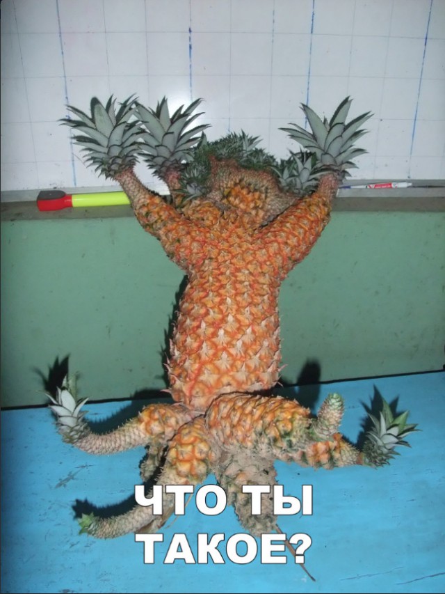 Нестандартный юмор