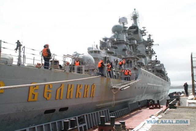 Альфред Кох предсказал воссоединение Украины с Россией