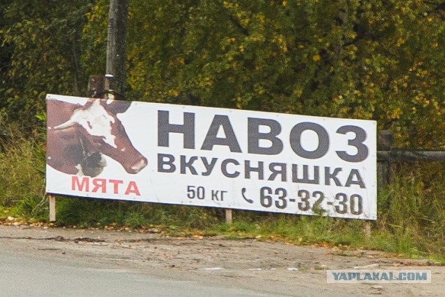 Рекламные трюки от известных брендов