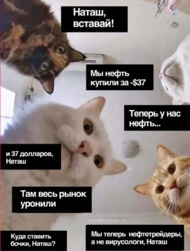 "Поторговали" нефтью