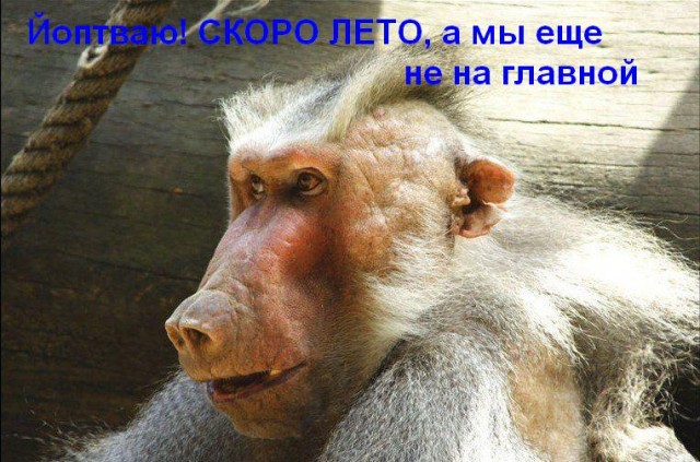 Фотожаба: Скоро лето 2008 !