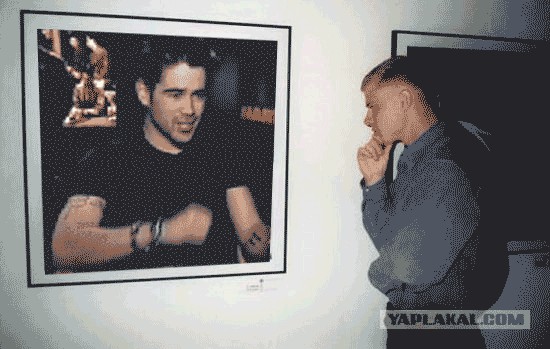 Фотожаба: Молодой ценитель