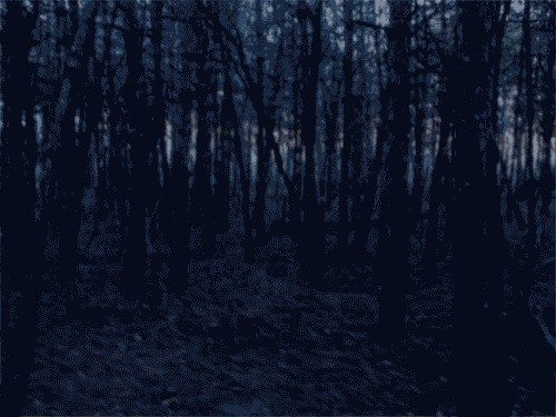 Фотожаба: Онотоле