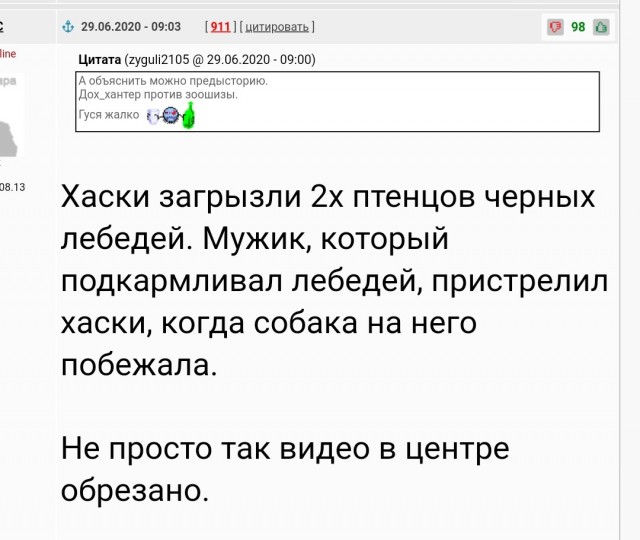 «За пять минут 50 гусей перегрызла»: челябинский охотник, застреливший хаски, рассказал свою версию