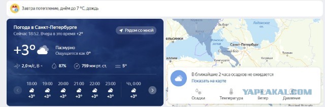 #ЯПовар. Электрошашлык из свинины с маринованным луком.