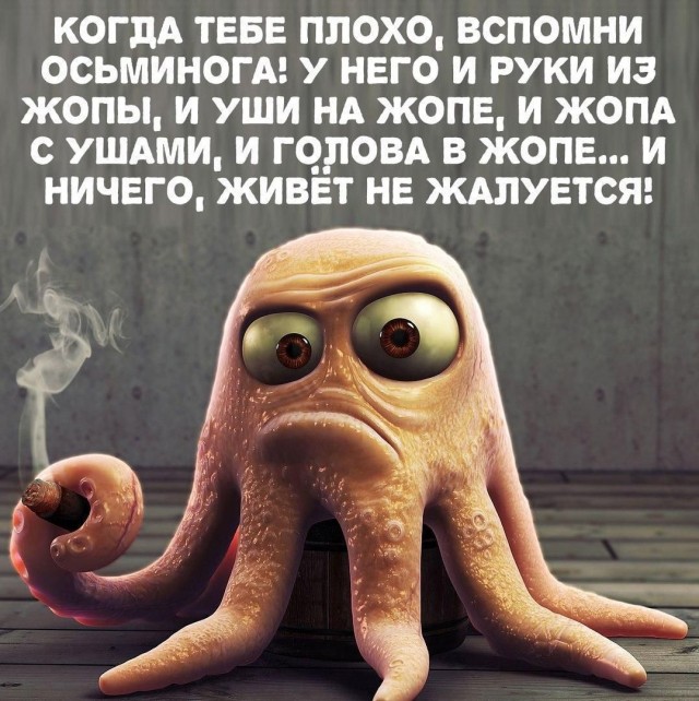 Подборка баянистых картинок