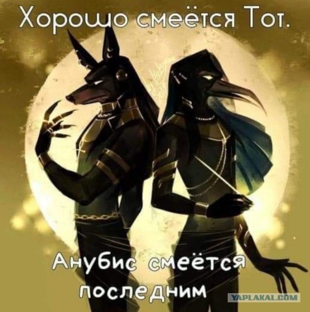 Бредзона 13.12.20