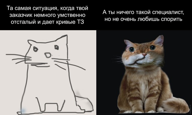 Картинки и мемы для настроения 025