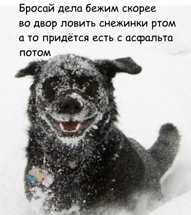 Бредзона 20.01.2021