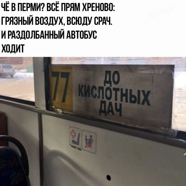 Весёлый полтишок 25.02
