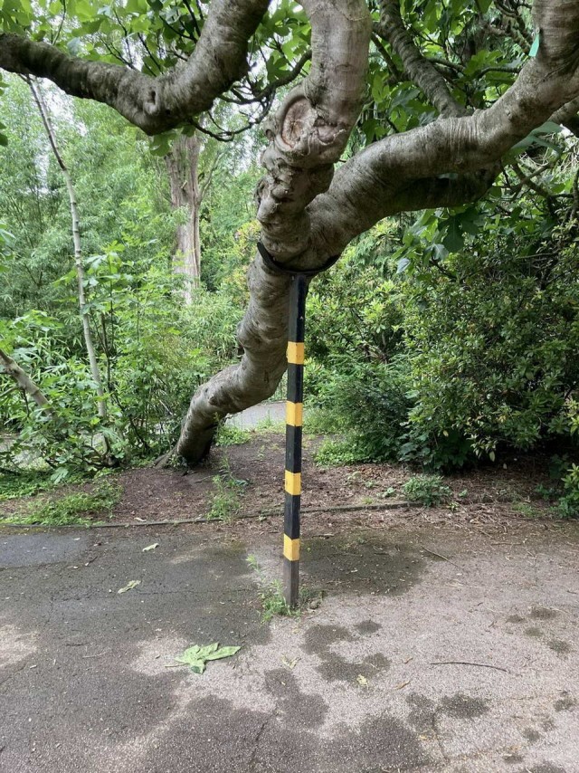 Прикольные и просто красивые картинки 19.07.2021