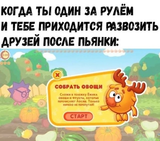 Картинки и мемы для настроения 029