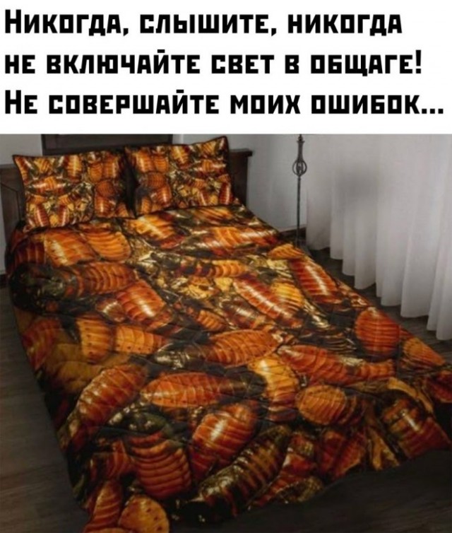 Так себе картинки 25.08.21