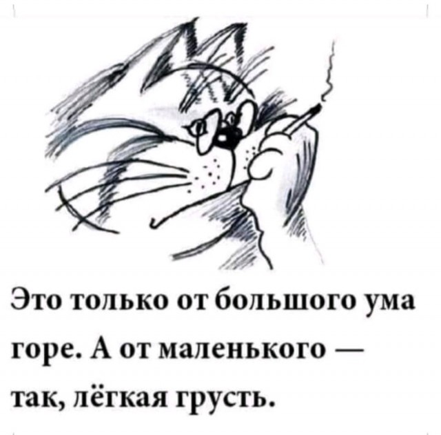 Бредзона 26.09.2021