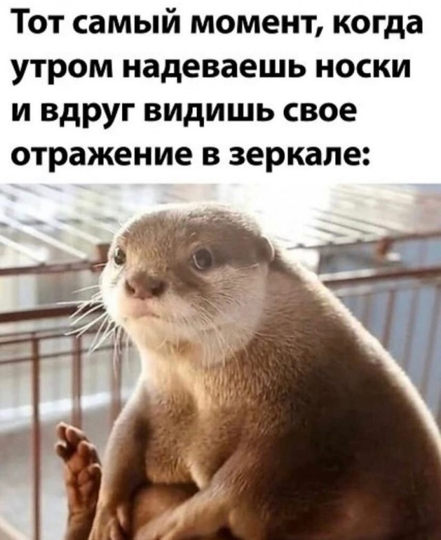 Так себе картинки 26.10.21