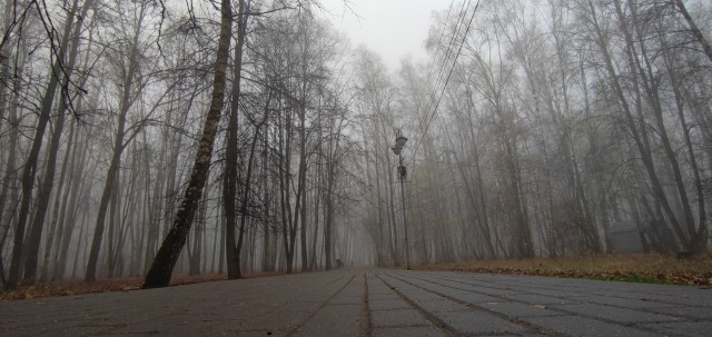 Туман в Москве