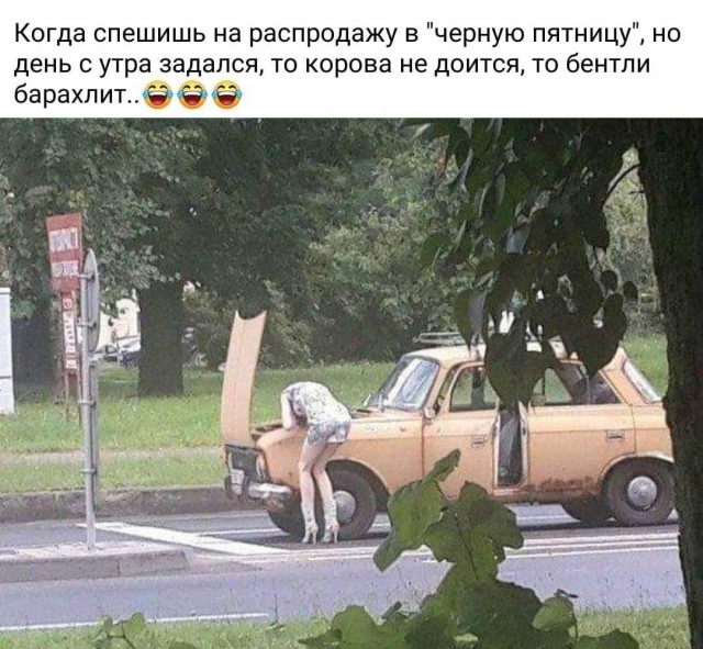 Всяческие картинки 26.11.2021