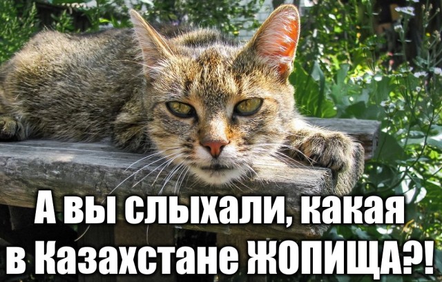 А давайте не про Казахстан, ага?