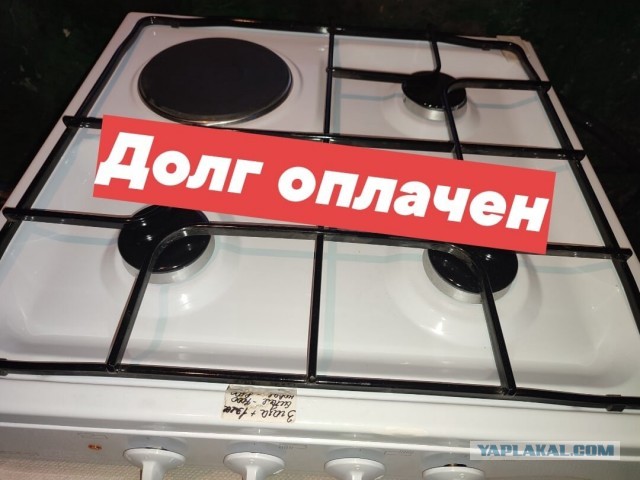 Котики в беде