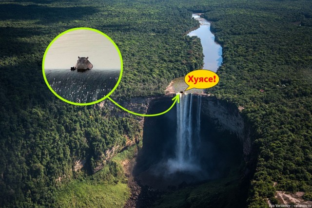 Бегемотиха отдыхает на краю водопада на реке Комати в ЮАР