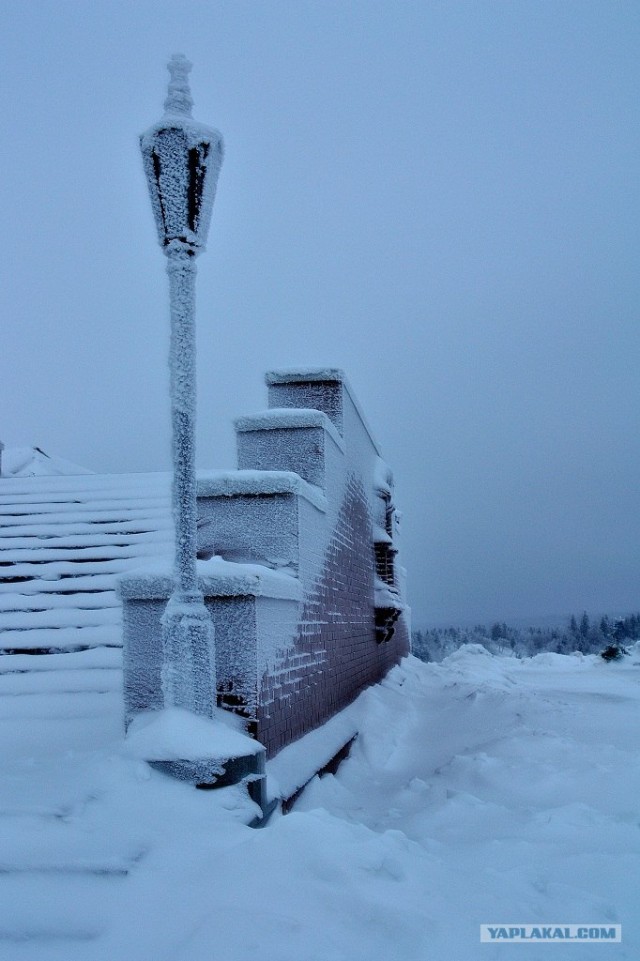 Белая гора
