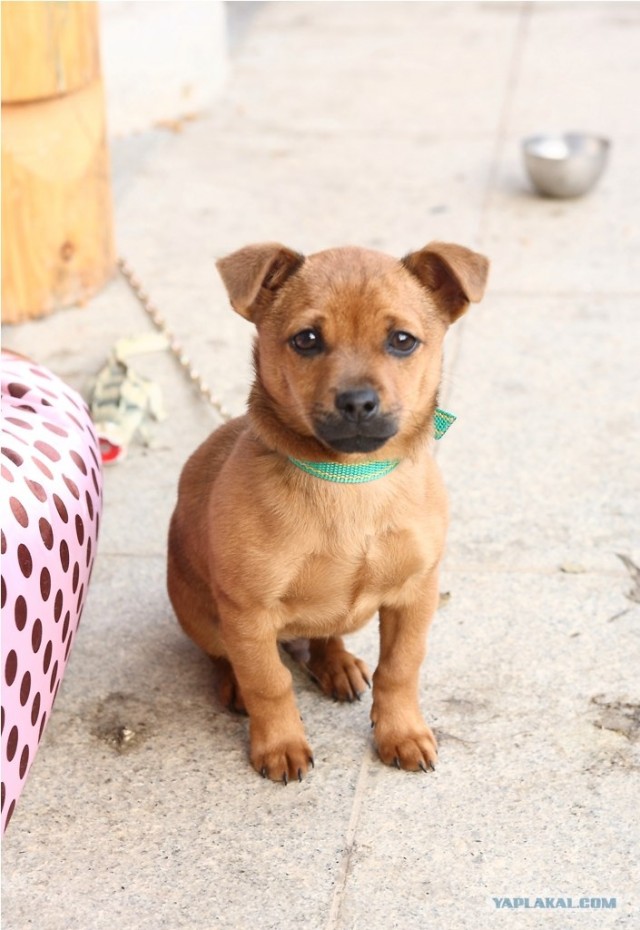 НЕтуристическая Корея