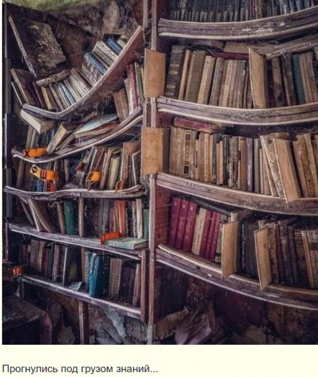 Картинки и мемы для настроения. Выходные близко...