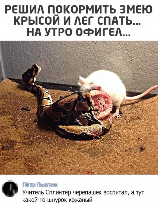 Картинки и мемы для настроения - 009