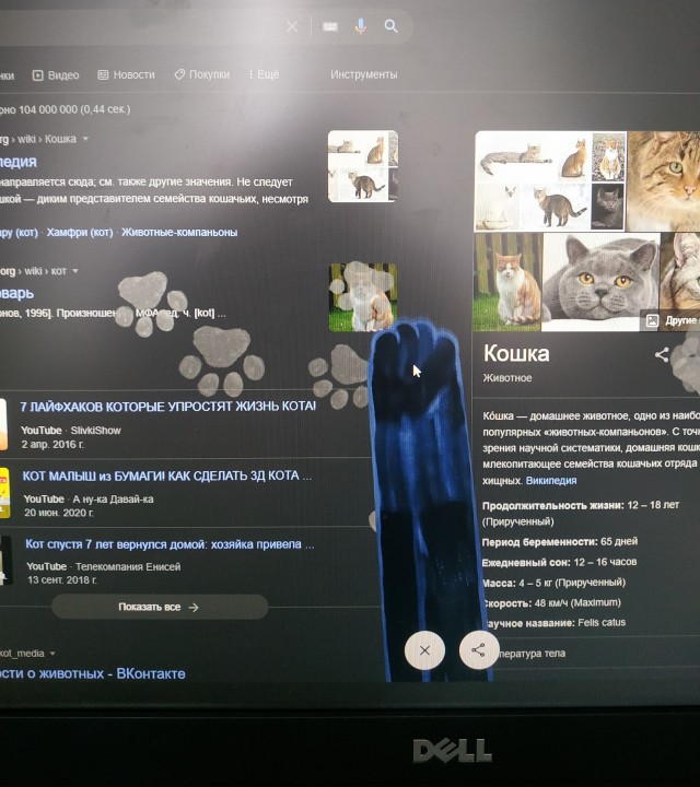 Пасхалка из Google