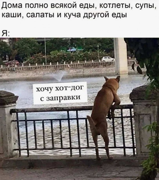 Картинки и мемы. Выходные близко...